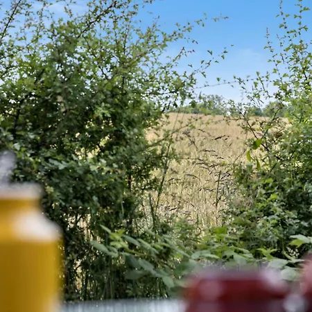 Casa vacanze 3 Bedroom Awesome In Ostermarie